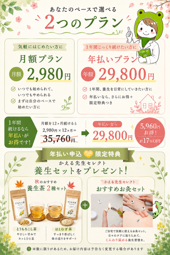 料金プラン：月額2,980円／年払い29,800円